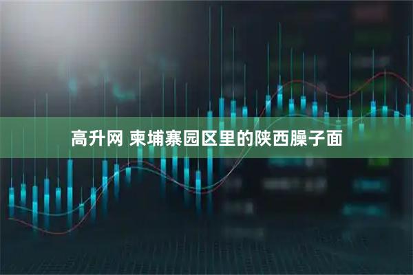 高升网 柬埔寨园区里的陕西臊子面