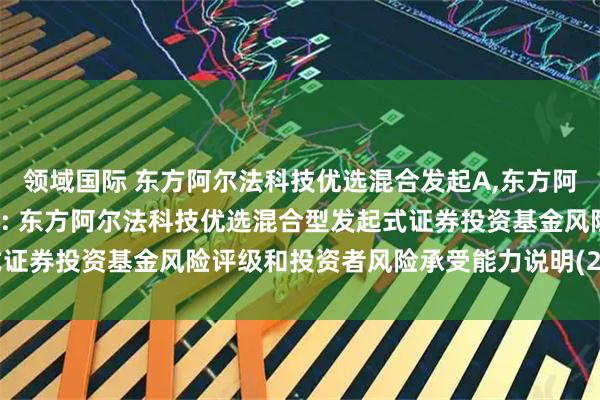 领域国际 东方阿尔法科技优选混合发起A,东方阿尔法科技优选混合发起C: 东方阿尔法科技优选混合型发起式证券投资基金风险评级和投资者风险承受能力说明(2025年5月)