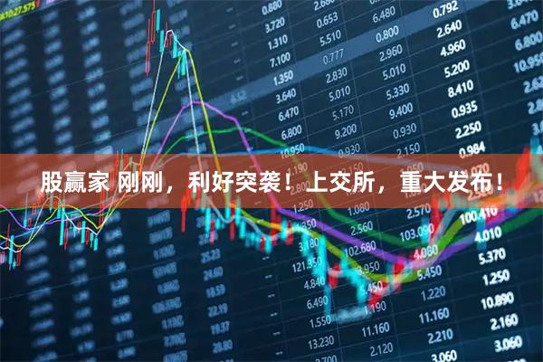 股赢家 刚刚，利好突袭！上交所，重大发布！